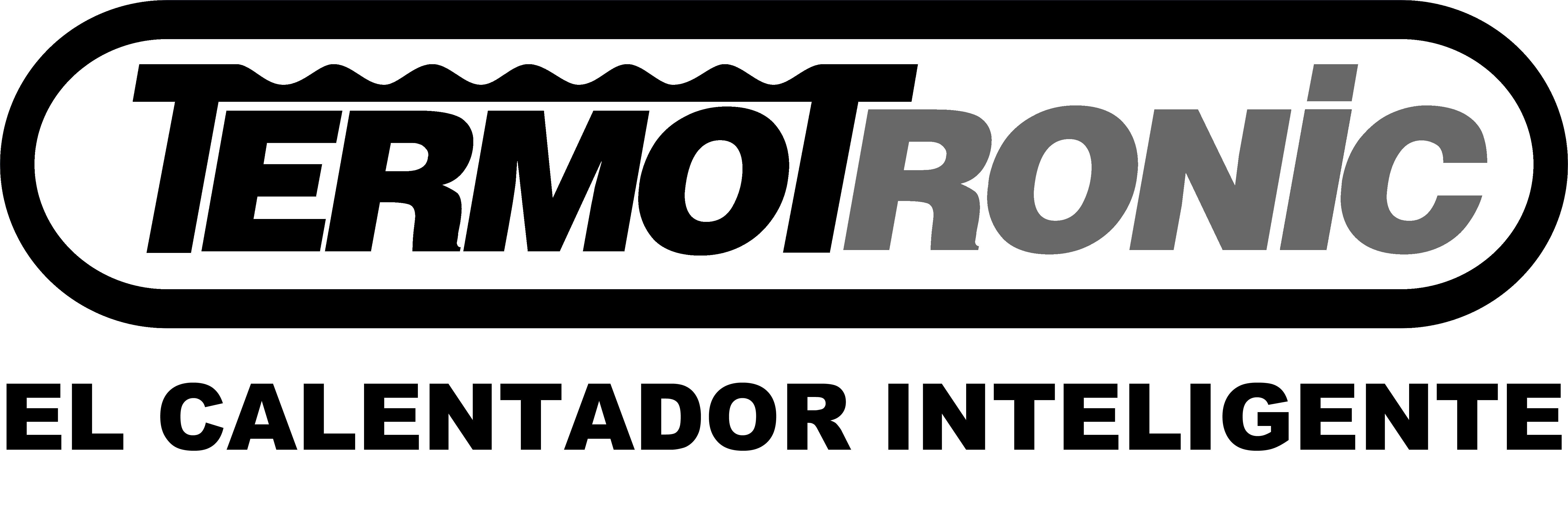 LogoTermotronicBW.png